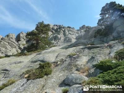 Senda Herreros - Puerto de Navacerrada - Valle de Fuenfría - Ducha de los Alemanes -Embalse Berceas